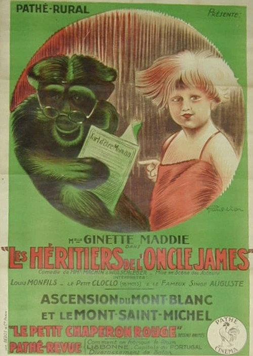 The Heirs of Uncle James 1924 official movie poster