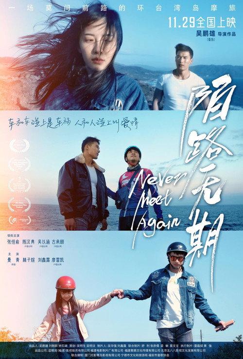 Never Meet Again 2024 official movie poster