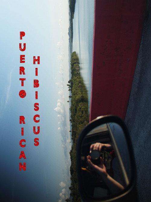 Puerto Rican Hibiscus official movie poster