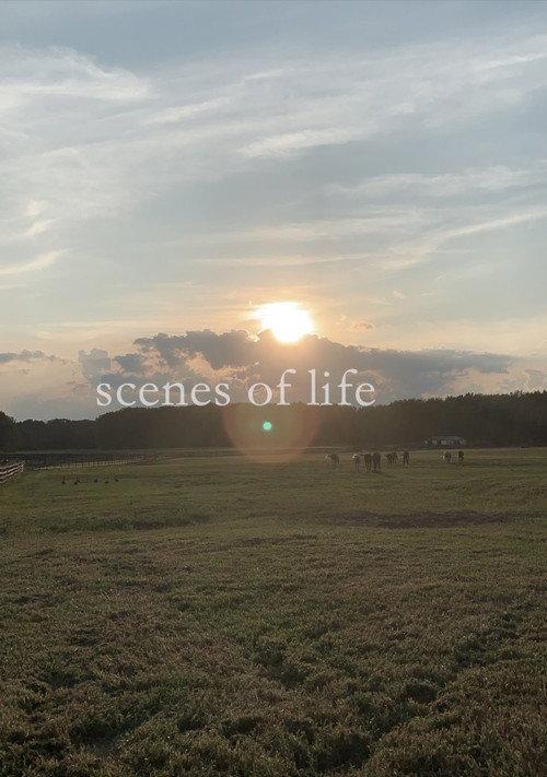scenes of life 2020 official movie poster