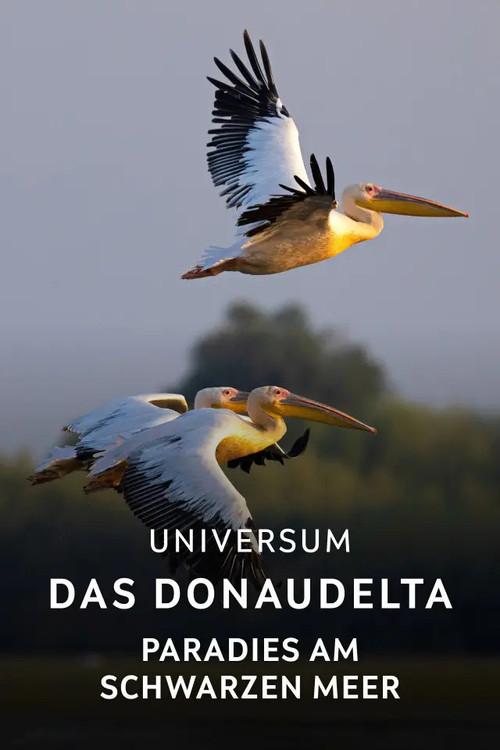 Das Donaudelta - Paradies am Schwarzen Meer 2025 official movie poster