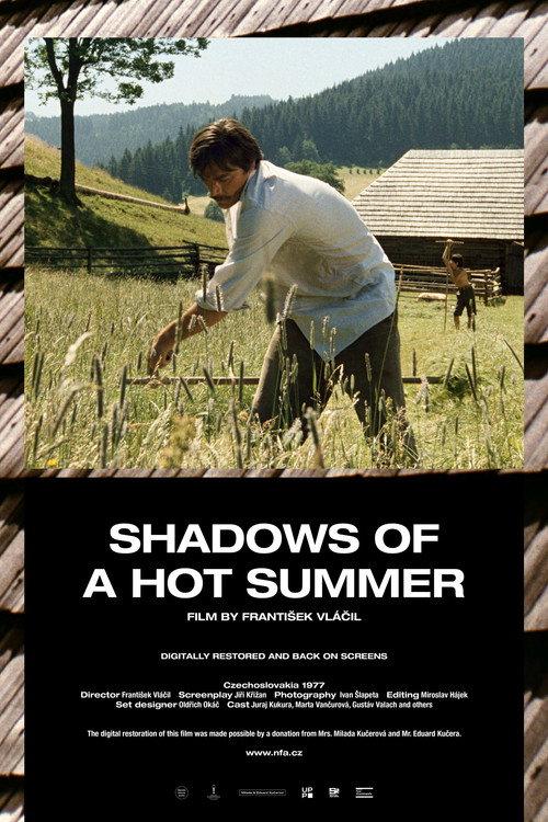 Shadows of a Hot Summer 1978 official movie poster