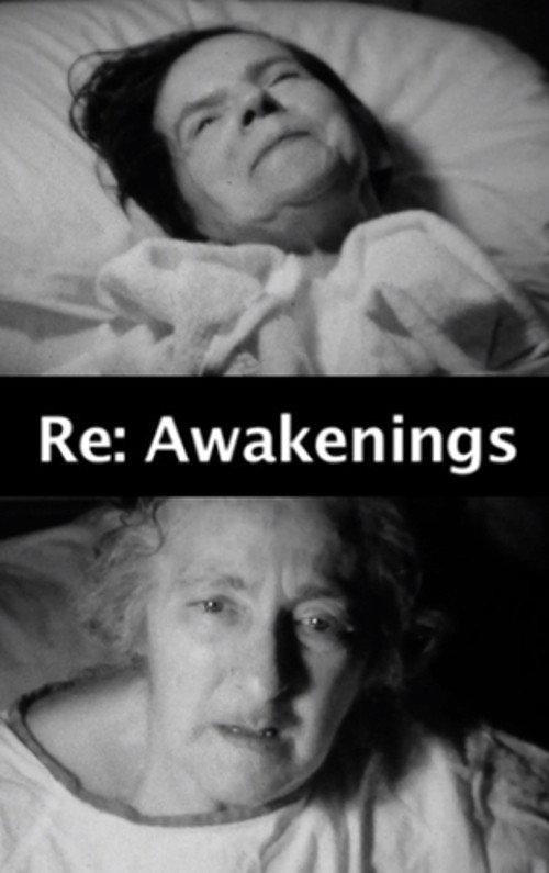 Re: Awakenings 2013 official movie poster