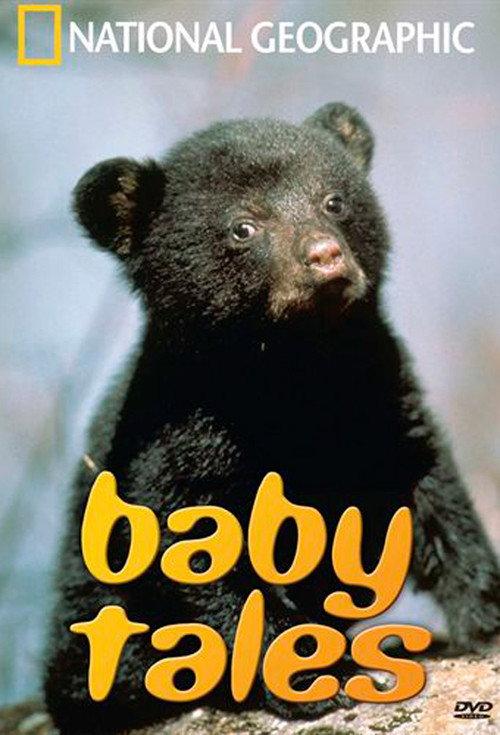 Baby Tales 2004 official movie poster