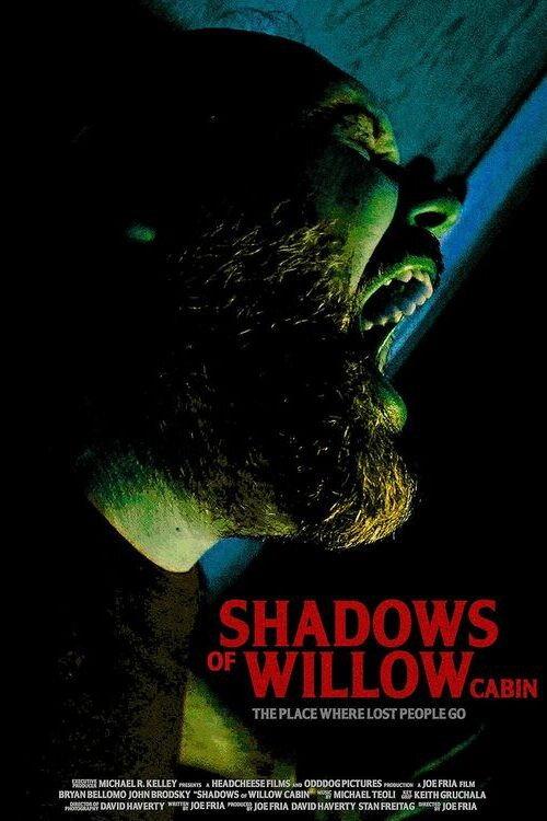 Shadows of Willow Cabin 2025 official movie poster