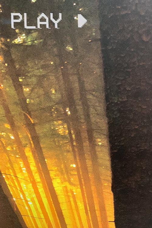 In The Forest 2025 official movie poster