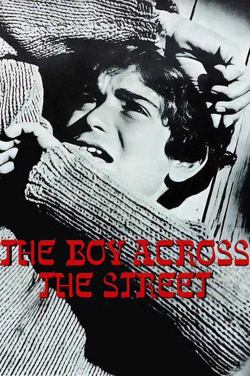 The Boy Across the Street 1965 official movie poster