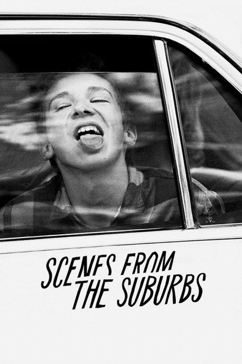 Scenes from the Suburbs 2011 official movie poster