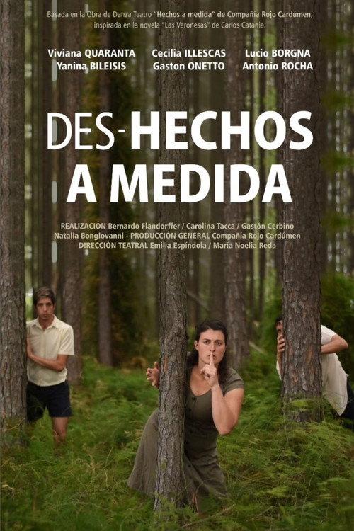 Des-hechos a medida 2024 official movie poster