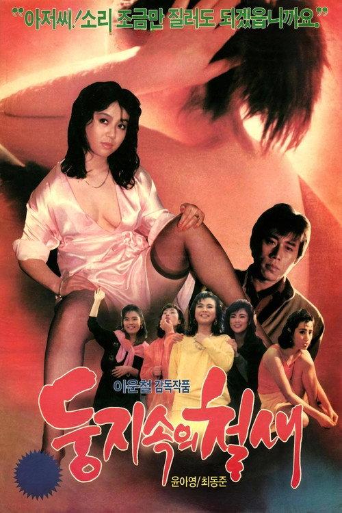 A Migrant Bird in a Nest 1988 official movie poster