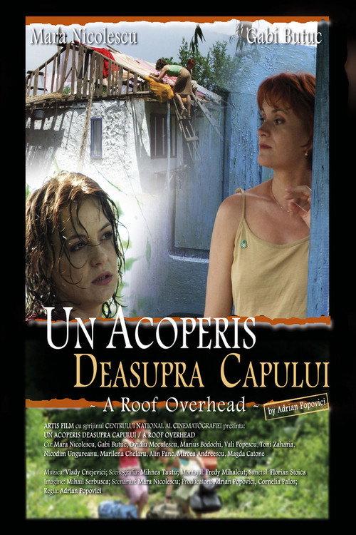 A Roof Overhead 2006 official movie poster