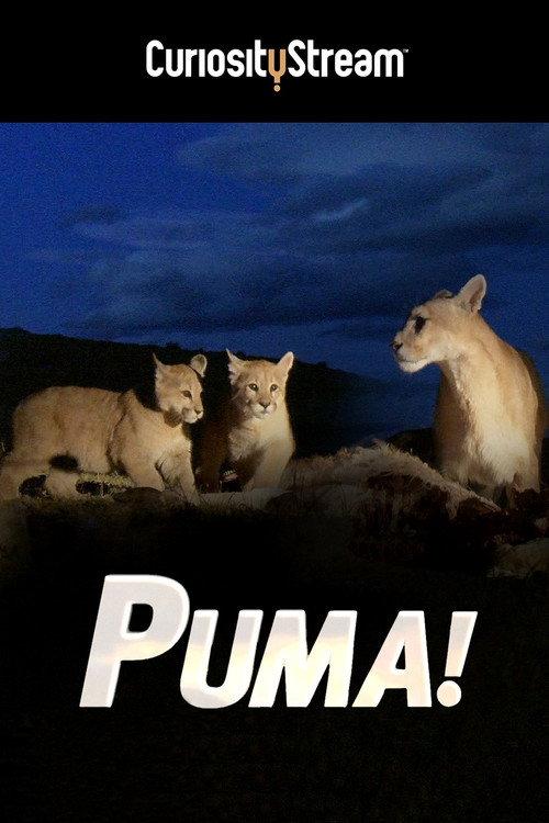 Puma! 2015 official movie poster