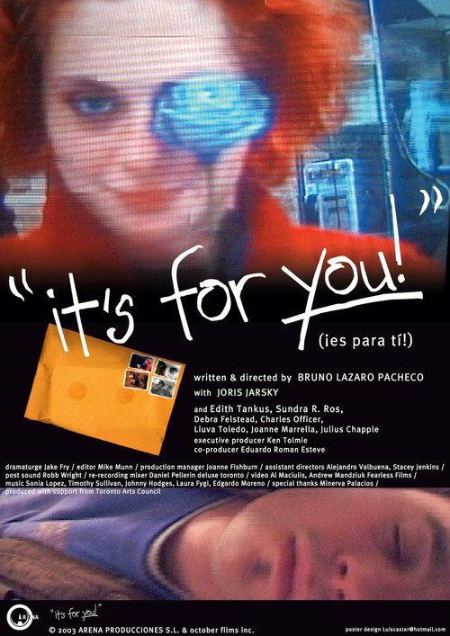 it's for you! 2004 official movie poster