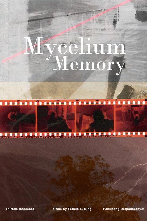 Mycelium Memory 2024 official movie poster