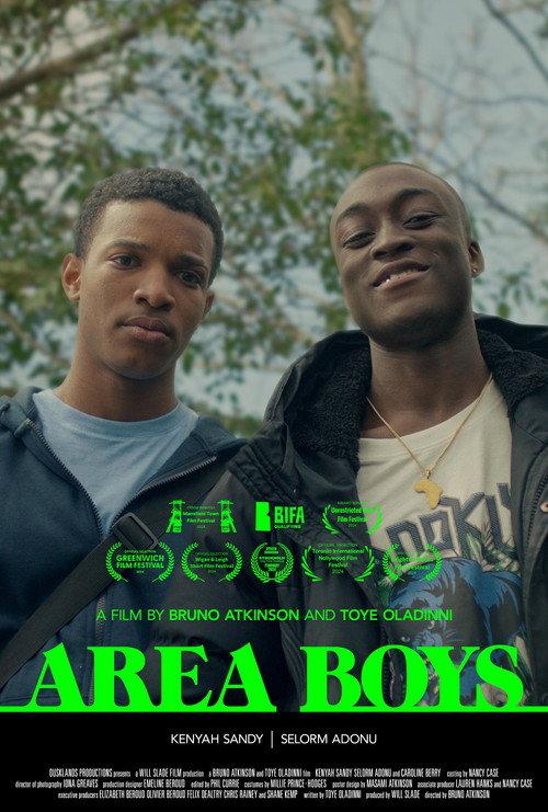 Area Boys 2023 official movie poster