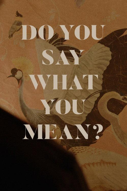 Do You Say What You Mean? 2024 official movie poster