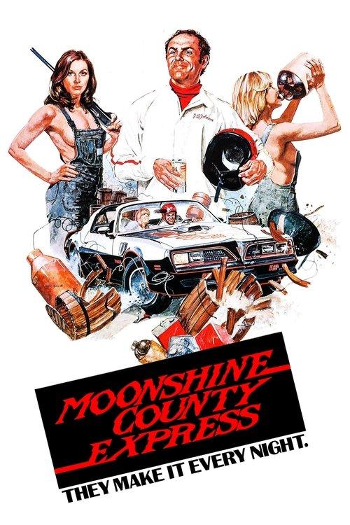Moonshine County Express 1977 official movie poster