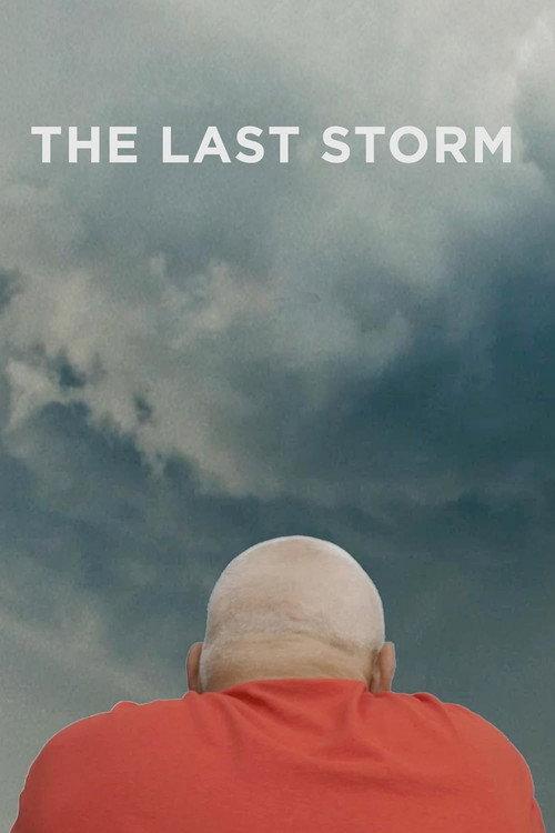 The Last Storm 2018 official movie poster