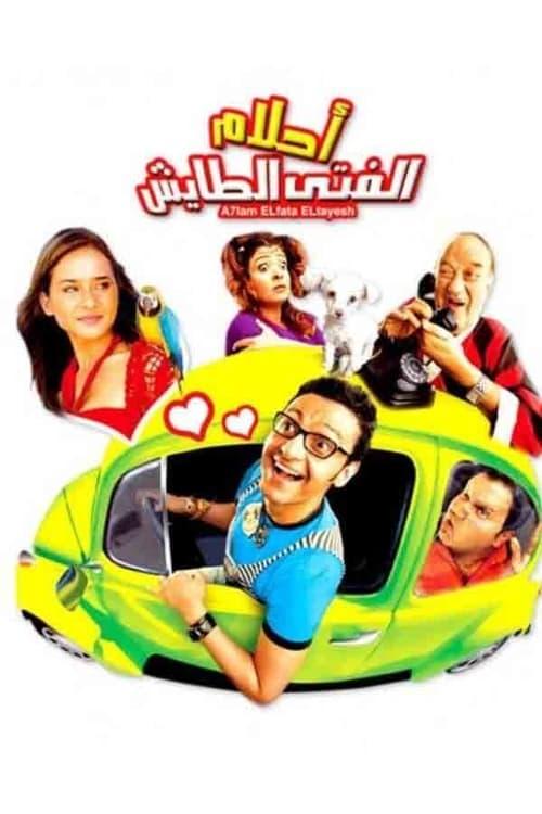 Dreams of the Reckless Boy 2007 official movie poster