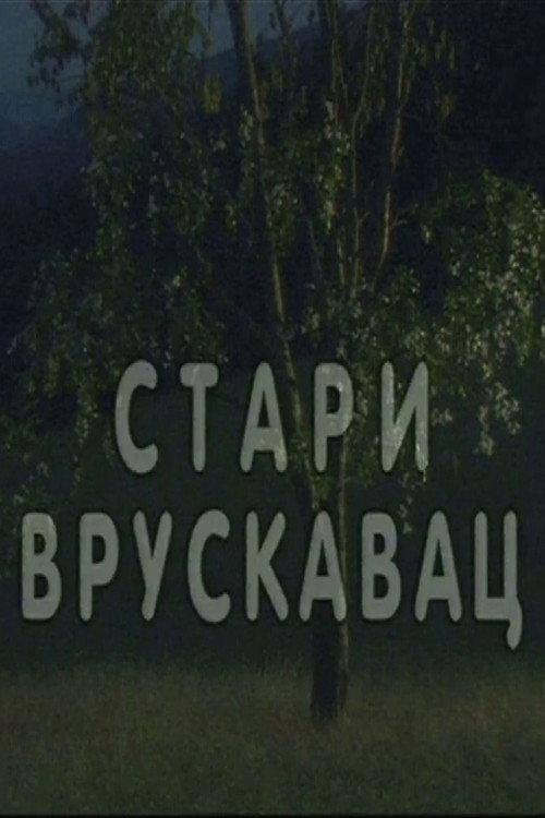 Stari vruskavac 2000 official movie poster