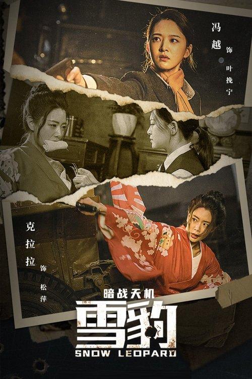 Snow Leopard Secret War 2021 official movie poster