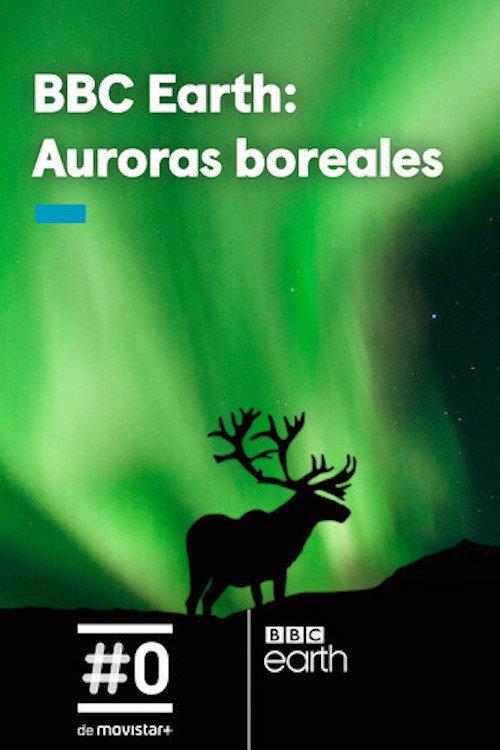 Gordon's Northern Lights Adventure 2017 official movie poster