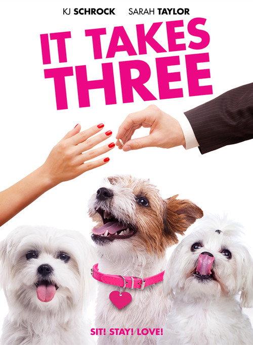 It Takes Three 2019 official movie poster
