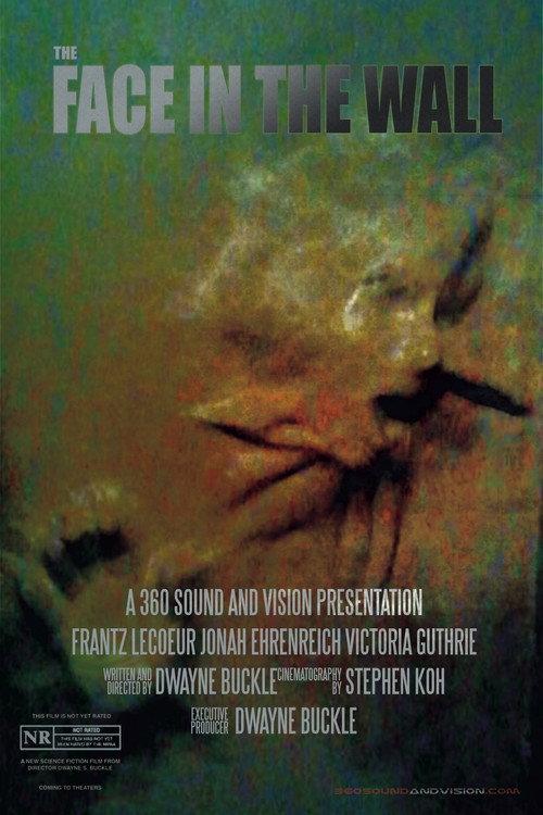 The Face in the Wall 2017 official movie poster
