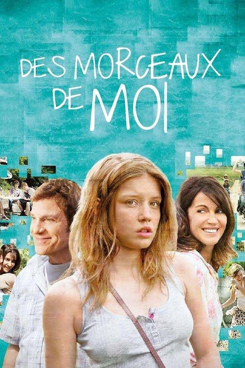 Pieces of Me 2013 official movie poster