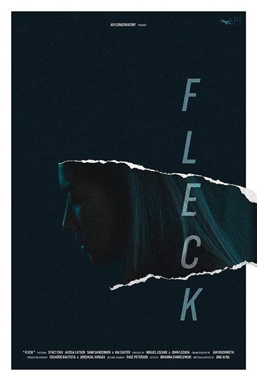 Fleck 2019 official movie poster