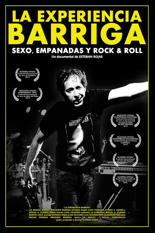 La experiencia Barriga 2013 official movie poster