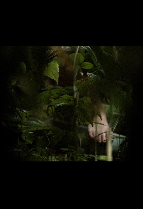 In A Grove 2025 official movie poster