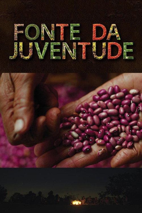 Fonte da Juventude 2017 official movie poster