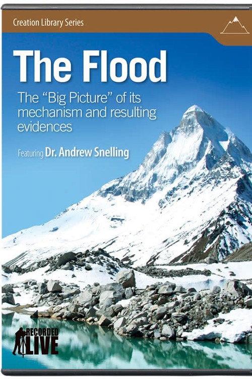The Flood 2009 official movie poster