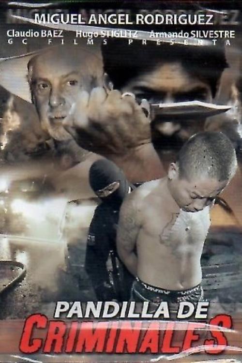 Pandilla de criminales 1992 official movie poster