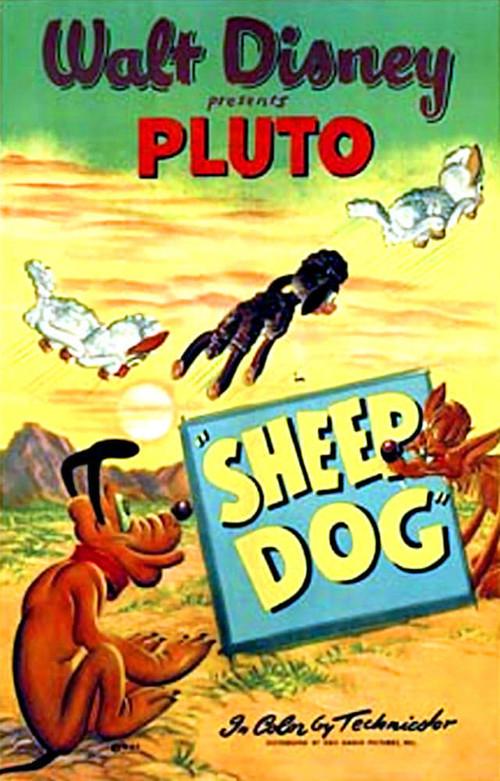 Sheep Dog 1949 official movie poster