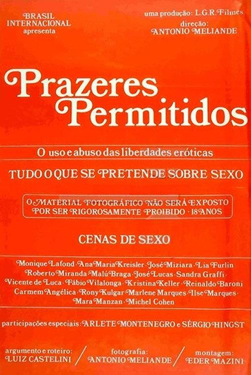 Prazeres Permitidos 1981 official movie poster