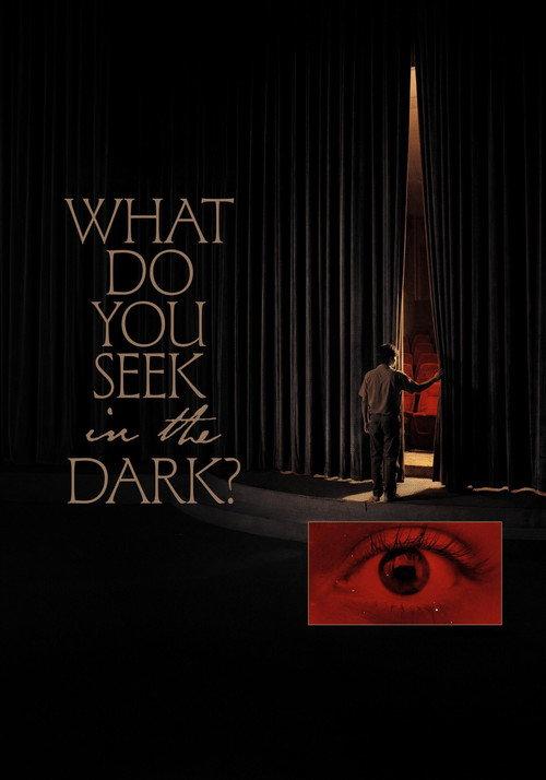What Do You Seek in the Dark? 2026 official movie poster