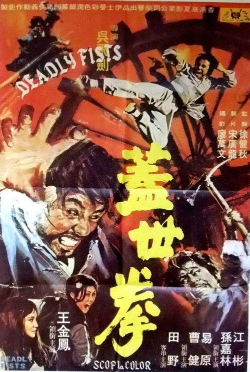 Revenge of the Iron-Fist Maiden 1973 official movie poster