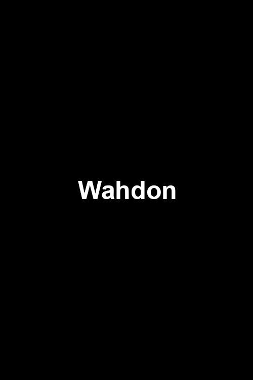 Wahdon 2014 official movie poster
