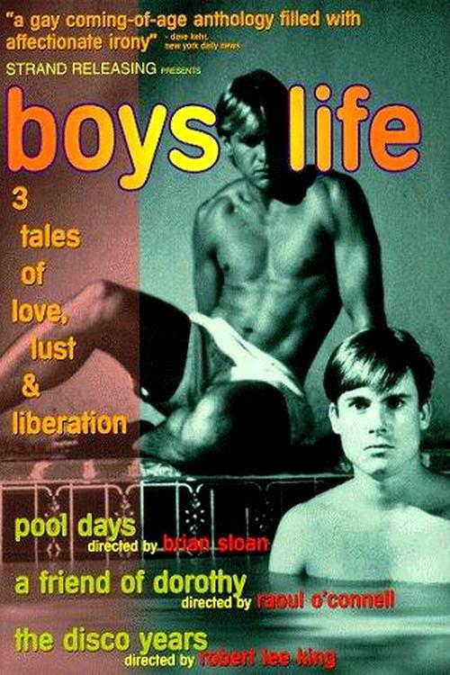 Boys Life 1994 official movie poster