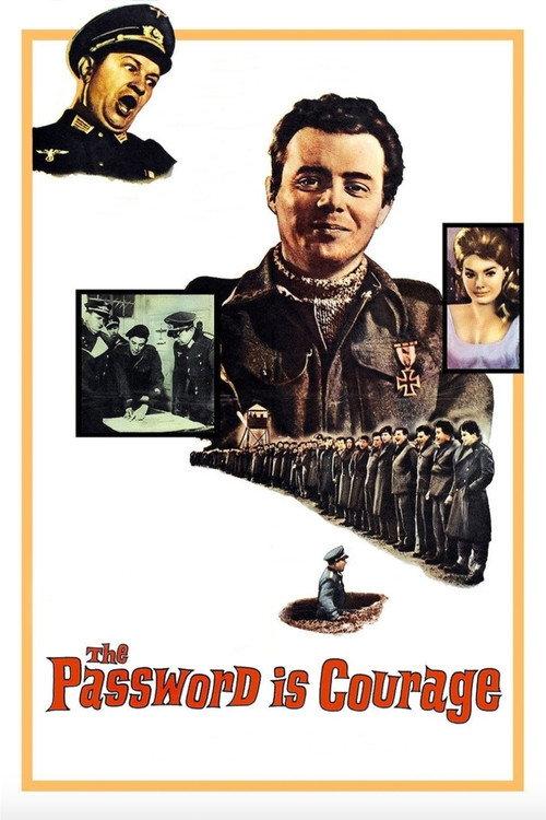 The Password Is Courage 1962 official movie poster