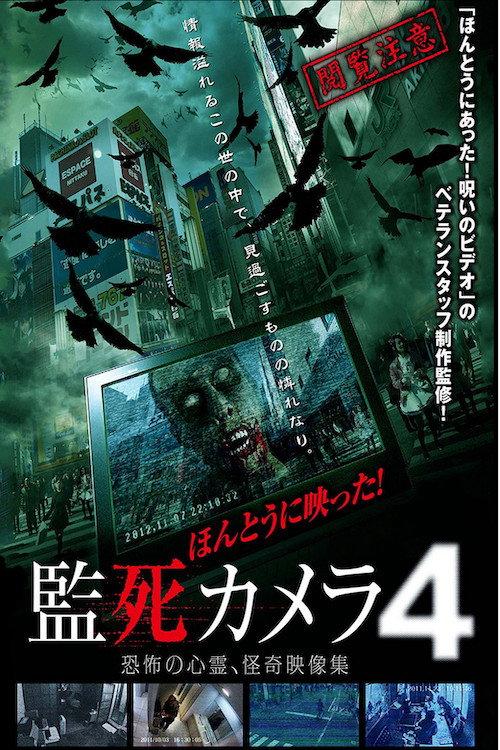 Paranormal Surveillance Camera 4 2013 official movie poster