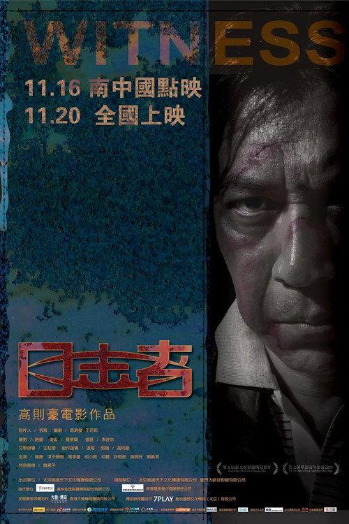 Witness 2012 official movie poster
