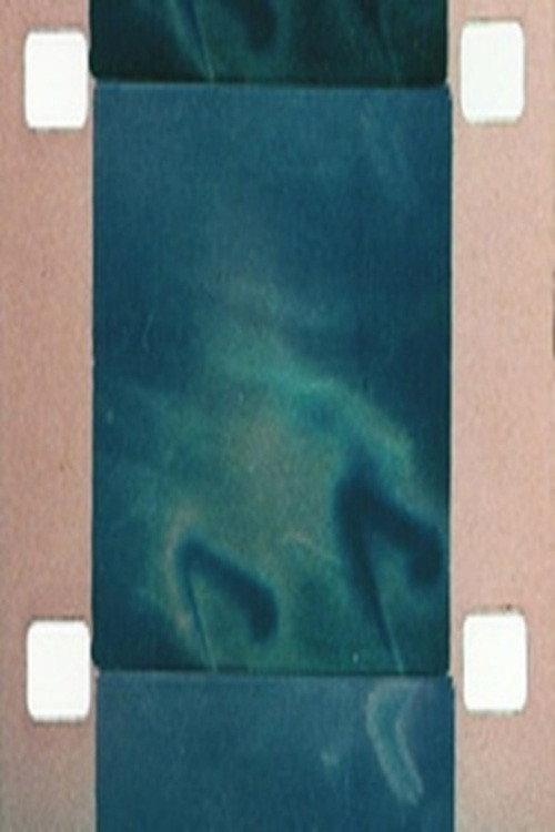Nipkow TV 1998 official movie poster