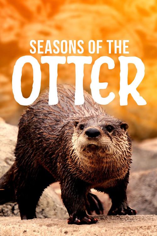Seasons of the Otter 2021 official movie poster