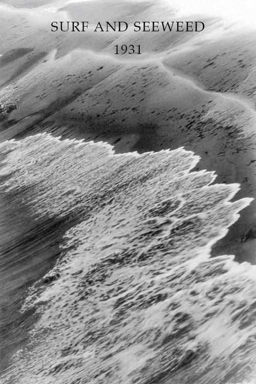 Surf and Seaweed 1931 official movie poster