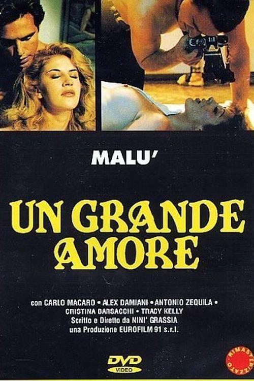 A Great Love 1995 official movie poster