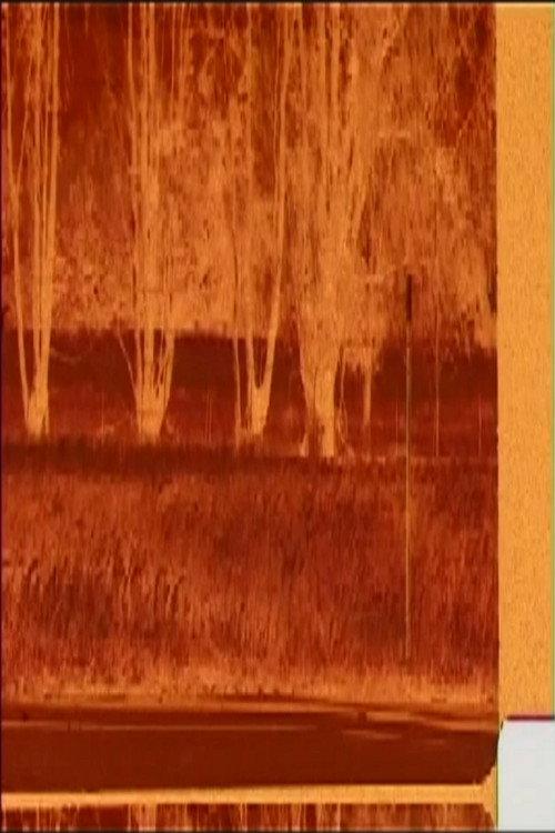 Fields Of Grain 1984 official movie poster