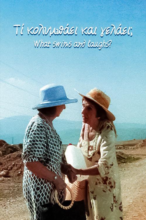 What swims and laughs? 2003 official movie poster